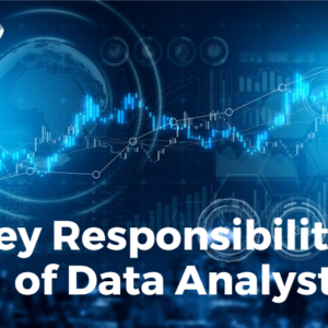 Data Analyst Responsibilities Wikipidia Academy Blog