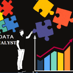 Data Analyst