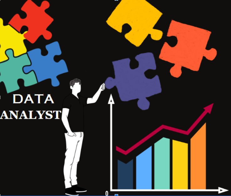 Data Analyst